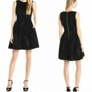 Calvin Klein Fit & Flare DRESS Velvet LBD Pockets PLUS SIZE Jacquard cocktail